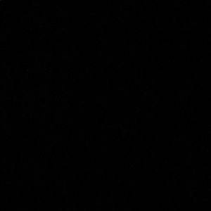 Meet your Posher, Maycee